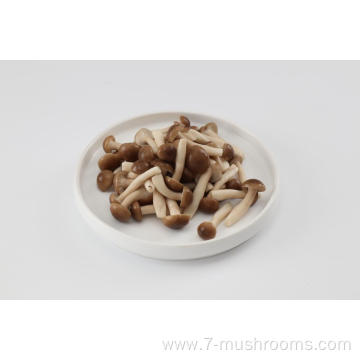 Frozen Fresh Cut Beech Mushroom